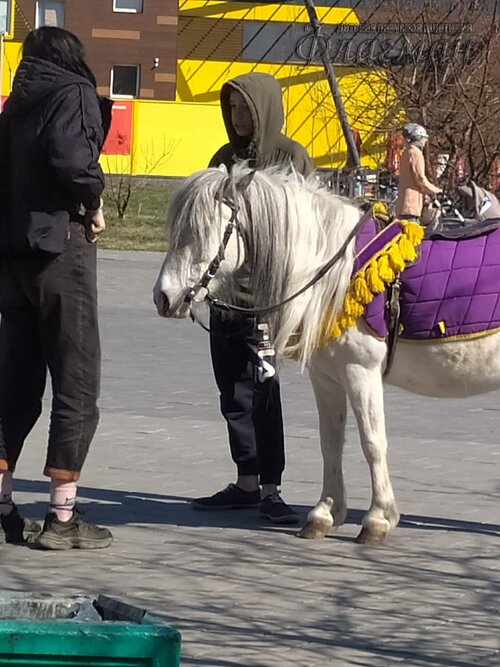 WhatsApp Image 2022-04-30 at 15.21.00